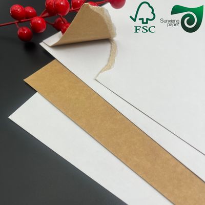 FSC Food Grade Coated Container Board  Eco Friendly For Food Packaging Boxes