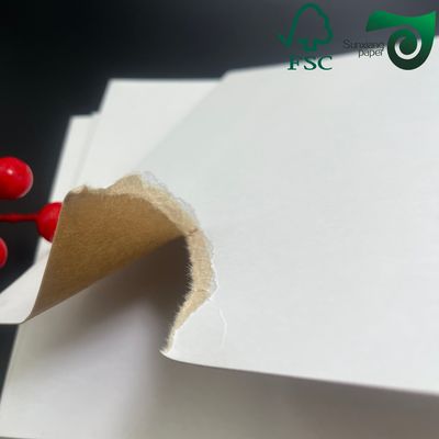 FSC 240gsm Recycled Pulp White Top Coated Kraft Board White Top Coated Kraft Board
