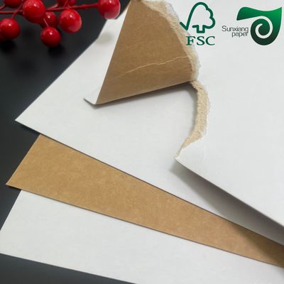 FSC Food Grade Coated Container Board  Eco Friendly For Food Packaging Boxes
