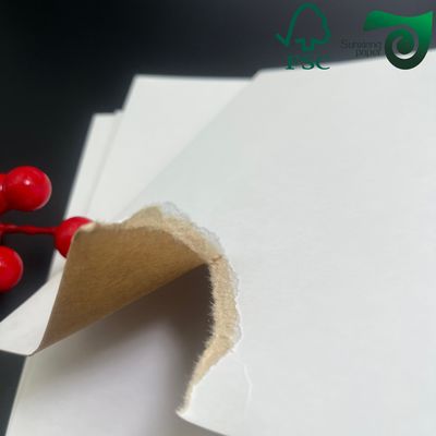 FSC Food Grade Coated Container Board  Eco Friendly For Food Packaging Boxes