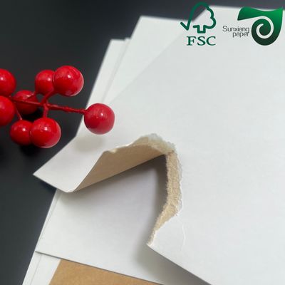 FSC Anti Curl Testliner White Coated Kraft Paper 220gsm Food Safe For Dry Food Packaging