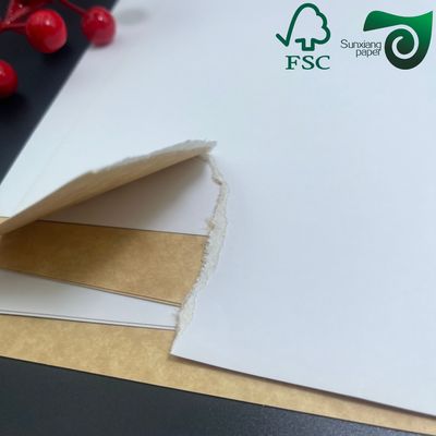 FSC 250gsm Coated White Top Kraft Back Board Food Grade For Takeaway Boxes