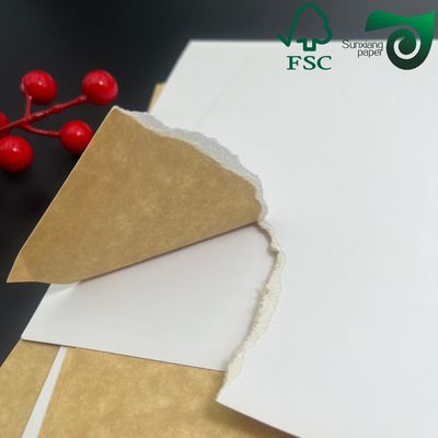 FSC Anti Curl Testliner White Coated Kraft Paper For Dry Food Packaging 200gsm