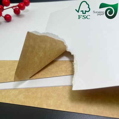 FSC White Top Clay Coated Kraft Liner Board Paper 140g 200g For Carton Box