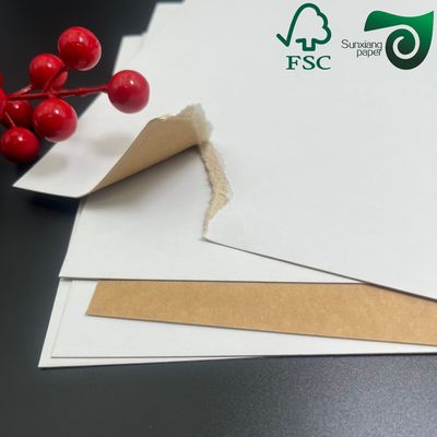 FSC Anti Curl Testliner White Coated Kraft Paper For Dry Food Packaging 200gsm