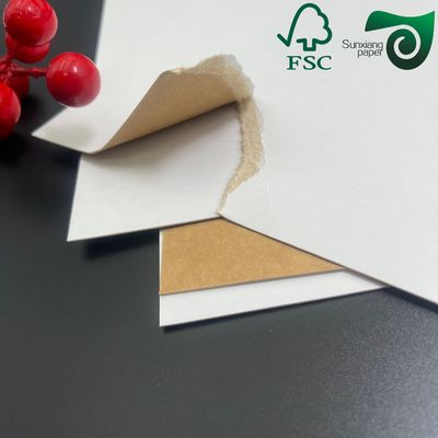 FSC 325gsm Food Grade Kraft Paper White Coated Front Natural Brown Back 100% Virgin Pulp
