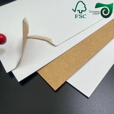 FSC White Top Coated Kraft Back Board Rolls for Canned Beverage Packaging