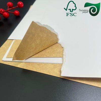 250gsm 360gsm High Rigidity White Top Kraft Liner Board For Milk Packaging Cartons