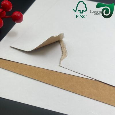 325gsm Food Grade White Coated Kraft Paper Brown Back Virgin Pulp FSC Certified