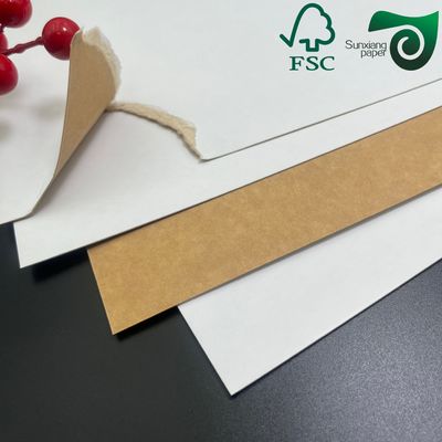FSC Certified 325gsm Food Grade Kraft Paper White Coated Front Brown Back Virgin Pulp