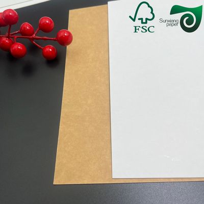 FSC White Top Coated Kraft Back Board Rolls for Canned Beverage Packaging