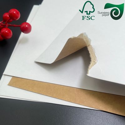 FSC White Top Coated Kraft Back Board Rolls for Canned Beverage Packaging