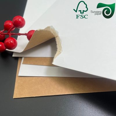 FSC 215gsm Premium Food Grade Bleached Wrapping Board Single Side Coated High Stiffness