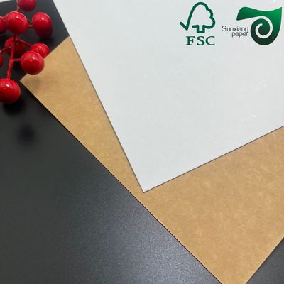300gsm One Side Coated Test Liner Paper High Whiteness for Egg Tart  Food Boxes