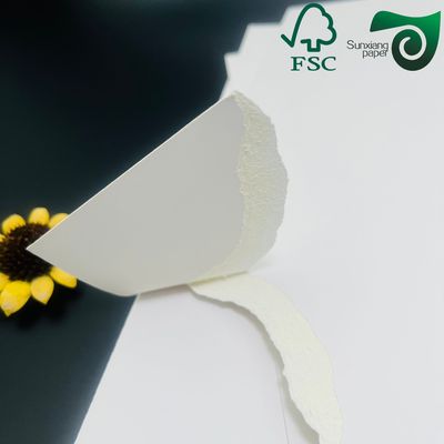 FSC Certified Food Grade FBB Paper Board 235gsm 270gsm  Ideal For Medicine Boxes