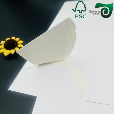 80gsm PE 10gsm  One Side Coated Food Grade High Strength Paper Cup Paper Roll