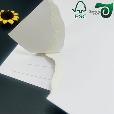 FSC 250gsm 270gsm White Food Grade Single Sided Coated Board For Direct Food Contact
