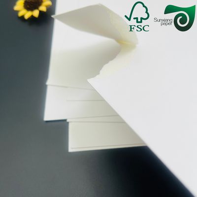 FSC 250gsm 270gsm White Food Grade Single Sided Coated Board For Direct Food Contact