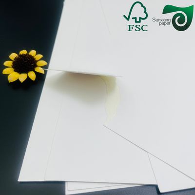 FSC 350gsm 610um Food Grade GC1 Board 70 100cm For Chocolate Packaging