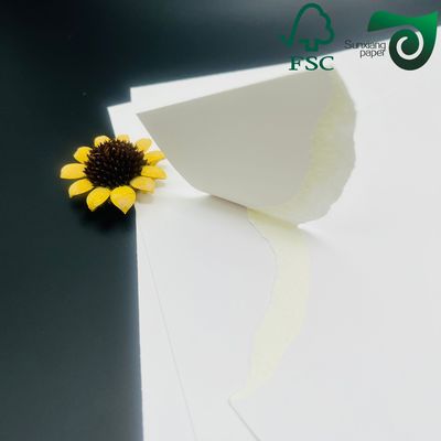 FSC 175g Thermal Blank Boarding Pass 18.8cm 8.3cm Custom Printed Flight Ticket Paper