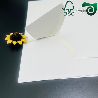 FSC 250gsm 270gsm White Food Grade Single Sided Coated Board For Direct Food Contact