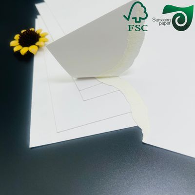 FSC 16pts 20pts Double Side Coated SBS FBB White Cardboard Blister Card Use