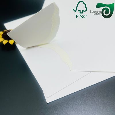 FSC GC1 Paper Board for Cosmetics Luxury Packaging 235gsm 260gsm 700×1000mm