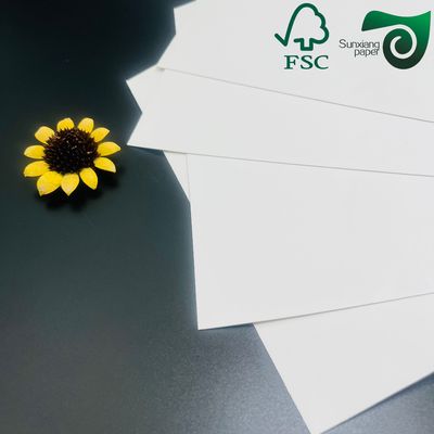 FSC High Bulk 16 Pts 255gsm C1S FBB Board For Medicine Boxes One Side Coated