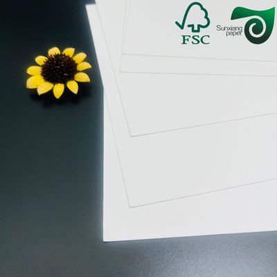 160gsm 300gsm Double Side PE Food Grade PE Coated Ivory Board For Lunch Box