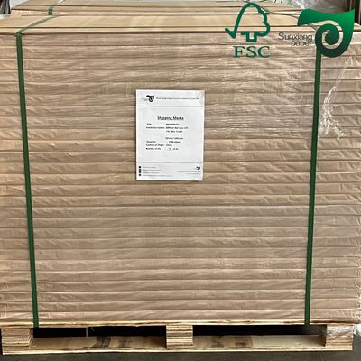 FSC Anti Curl Testliner White Coated Kraft Paper 220gsm Food Safe For Dry Food Packaging