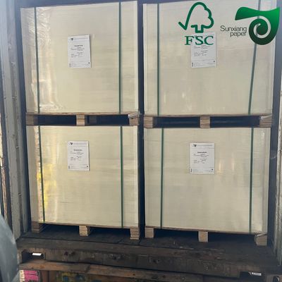 FSC 100gsm Color Bristol Board Copy Paper  Premium Virgin Pulp Paper For Flower Gift Packing