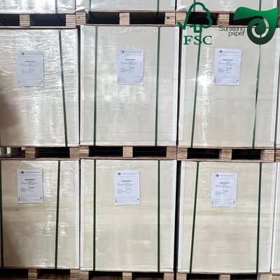 FSC C2S Double Side Coated Ivory Board 250gsm 400gsm Folding Box Board For Packaging