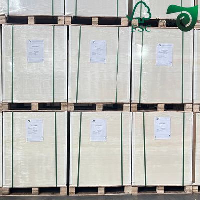 FSC 190gsm Bowl Paper 100% Virgin Wood Pulp Custom Coated For Paper Bowl Making