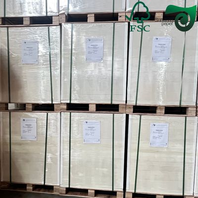 C2S Matte Coated Glossy Paper FSC 80G 90G 100G 115G 635mm 900mm Art Board