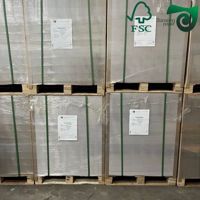 FSC 400gsm C1S Clay Coated Paper With Grey Back 22"   24"  Premium Packaging Paper