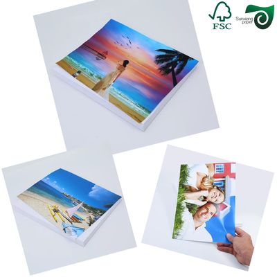 FSC 300GSM  350GSM C2S Glossy Art Board For Offset Printing  Double Sided White