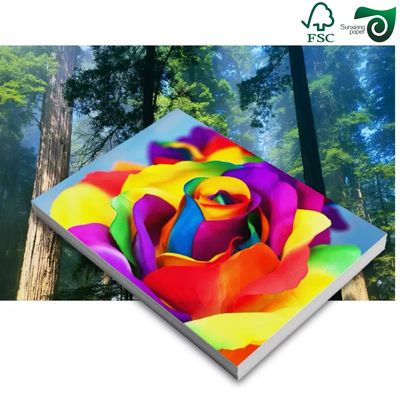 230gsm Coated Cardboard 260gsm Glossy Satin Lustre Inkjet RC Photo Paper 24" 30m