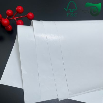 FSC 250g 260g RC Satin Inkjet Photo Paper