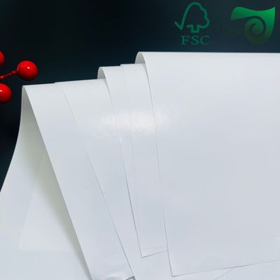 25 38 Inch 100gsm C2S Silk Matte Paper  Luxuriously Smooth Ideal For Text   Covers