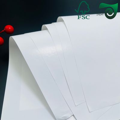 Double Sided White Matte Coated Art Card 250g  300g 25 36 Inches FSC Glossy Art Paper
