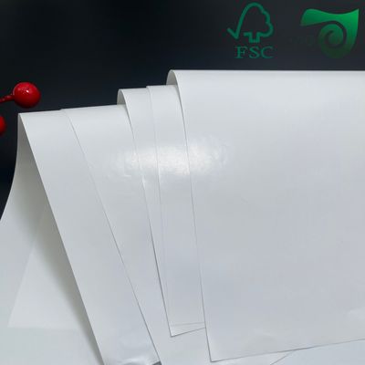 200gsm Vividly Gloss Card Paper High Opacity Fade Smudge Resistant FSC