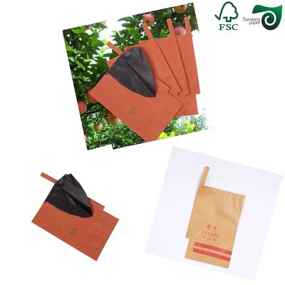 FSC Food Grade Single Layer Mango Protection Paper for Cultivation Covers