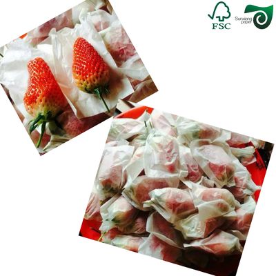 17gsm Lightweight Colorful Tissue Wrapping Paper 50cm 70cm  Ideal For Fruit Packaging FSC