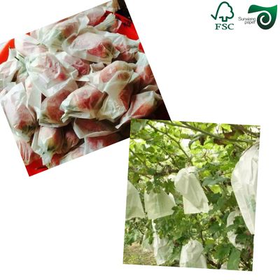 FSC 40gsm 90gsm White Waterproof Paper For Grape  Vegetable Wrapping Bags