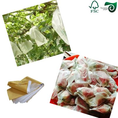 15gsm 17gsm 86cm 90cm Width White Translucent Tissue Paper Roll  For Fruit Wrapping