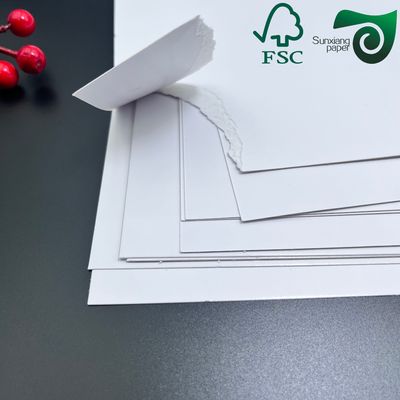 FSC Certified White Water Absorbent Paper 230g 250g  For Coaster Board Applications