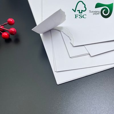 FSC Certified White Water Absorbent Paper 230g 250g  For Coaster Board Applications