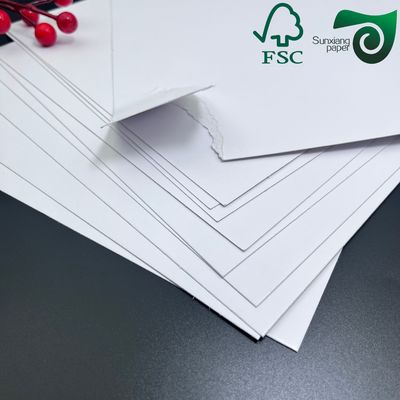 FSC White Coated Triplex Paper Board  1MM 1.5MM Thick  24in 36in For Clothing Boxes