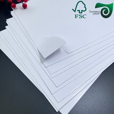 FSC Double Sided Coated Glossy Cover Paper  460mm 650mm  With High Printability