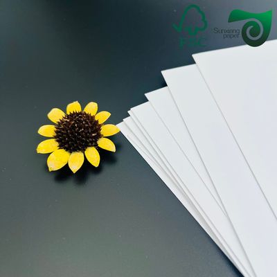 Uncoated Absorbent Paper 40pt 60pt 80pt Durable Disposable Paper Coaster Grade